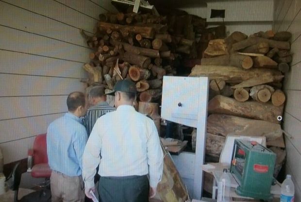 ۱۰ تن چوب جنگلی از انباری خانه‌ای در سمنان کشف شد