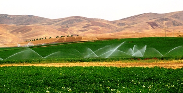 کلنگ شبکه آبیاری تحت فشار 6 روستای دره شهر به زمین زده شد