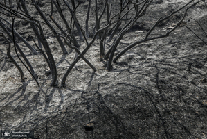 منتخب تصاویر امروز جهان - 2 مهر 1401