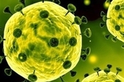اعلام آمادگی مراکز درمانی لرستان برای مقابله با ویروس کرونا