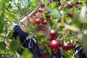 منتخب تصاویر امروز جهان- 20 تیر 1400