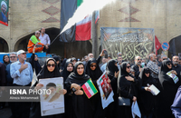 63508654_Alireza-Mohammadi-3054