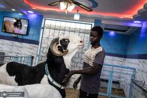 منتخب تصاویر امروز جهان- 28 تیر 1400