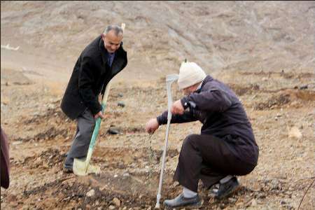 برگزاری روز درختکاری در نجف آباد