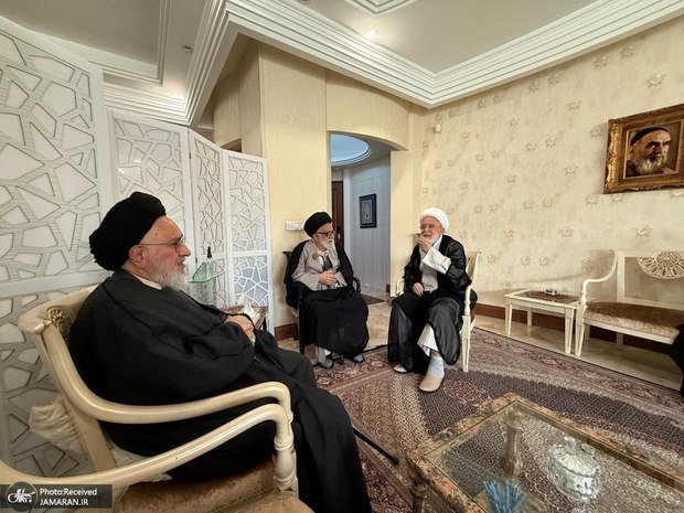 دیدار آیت‌الله سید‌ علی محقق داماد و آیت‌الله سید مصطفی محقق داماد با حجت الاسلام و المسلمین کروبی + گزارش تصویری