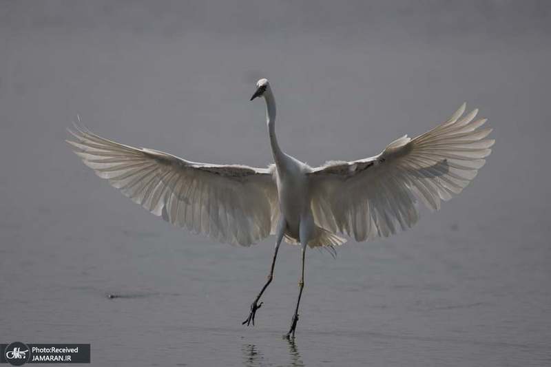 منتخب تصاویر امروز جهان- 2 اردیبهشت 1400