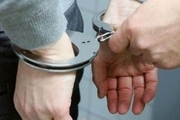 ۲۸ متخلف انواع جرایم در کوهدشت دستگیر شد