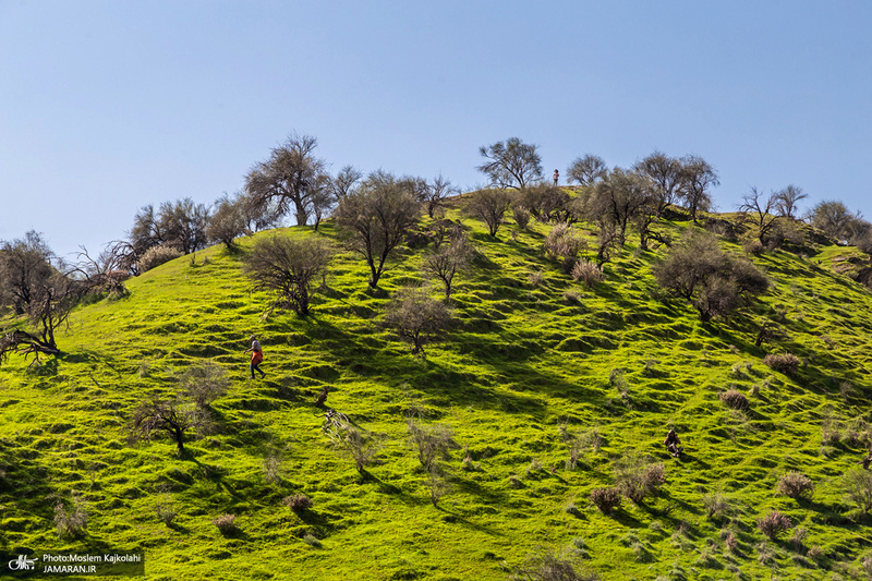 طبیعت بکر و زیبای«کفشکنان»