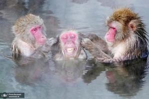 منتخب تصاویر امروز جهان- 25 دی 1400