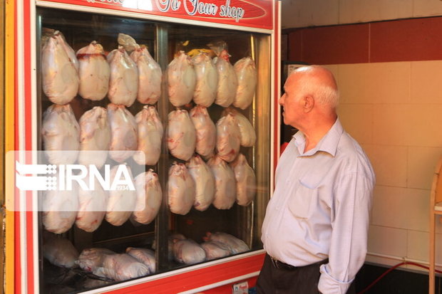 ۲۶۰ پرونده تخلف در عرضه مرغ در خوزستان تشکیل شد