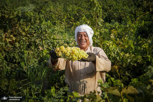 منتخب تصاویر امروز جهان- 15 تیر 1400