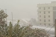 بارش شدید برف در سعادت آباد-بزرگراه یادگار امام