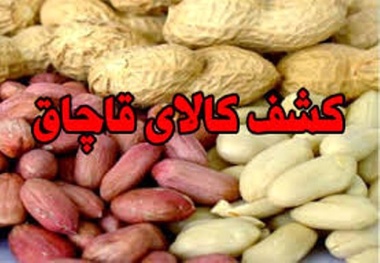 کشف نزدیک به ۲ تن خشکبار قاچاق در عجب شیر