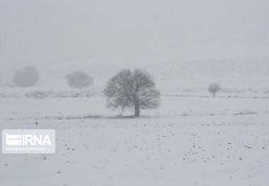 برف آسمان برخی نقاط کردستان را فرا می‌گیرد