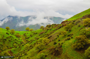 طبیعت زیبای نوسود