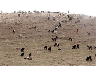 خشکسالی، تهدیدی جدی برای استان اردبیل