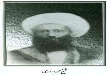  یادی از آیت اللّه شیخ محمد بهاری همدانی