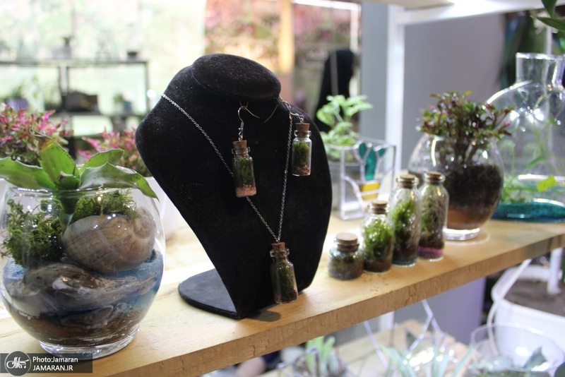 نمایشگاه گل و گیاه (82)