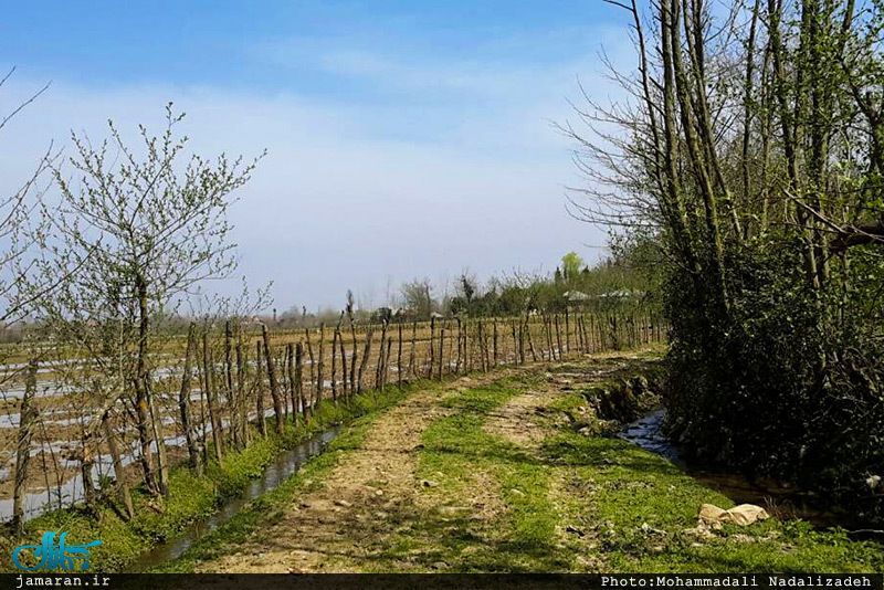 طبیعت رویایی ماسال گیلان