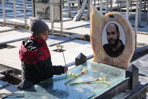 مهمانی لاله ها در قطعه شهدای بهشت زهرا