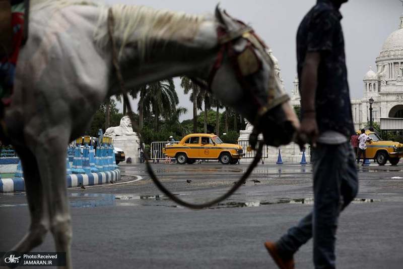 منتخب تصاویر امروز جهان- 24 تیر 1400