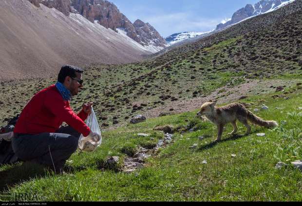 گام نخست مازندران برای رسیدن به ژئو پارک