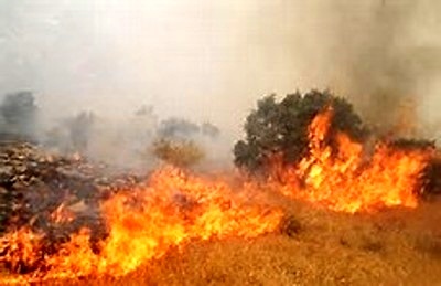 مهار آتش‌سوزی در جنگل‌های بویراحمد  احتمال عمدی بودن حادثه