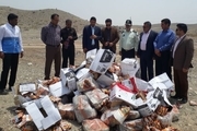 10 تن مواد غذایی فاسد در فاریاب استان کرمان معدوم  شد