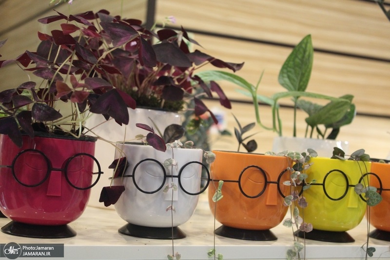 نمایشگاه گل و گیاه (37)