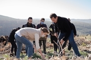 مشارکت بشار و اسماء اسد در درختکاری جنگل های سوخته+تصاویر