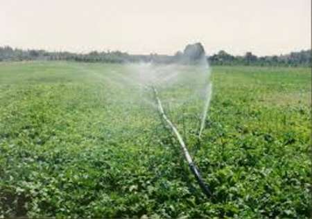 60 درصد زمین های کشاورزی هرمزگان به شبکه آبیاری نوین مجهز شده است