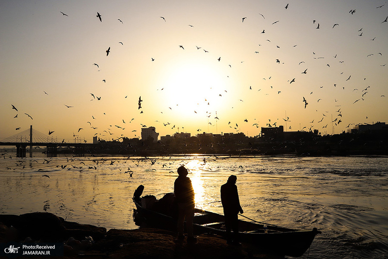 منتخب تصاویر امروز جهان- 14 دی