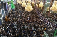 مراسم باشکوه تشییع آیت الله العظمی صافی گلپایگانی در نجف و کربلا (14)