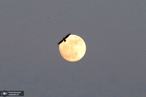 منتخب تصاویر امروز جهان- 21 آبان