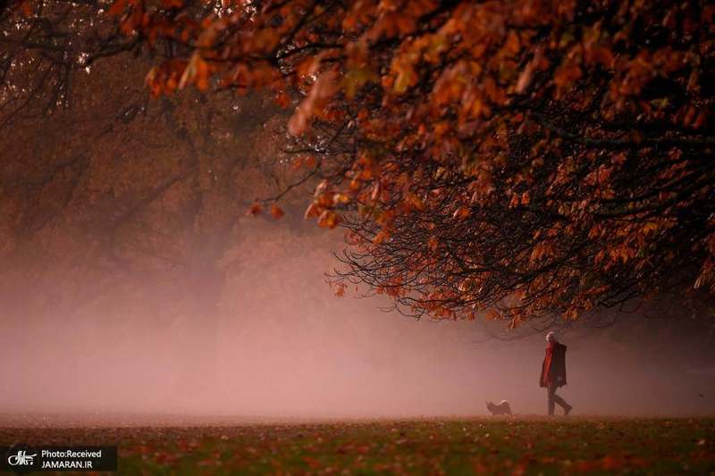منتخب تصاویر امروز جهان- 20 آبان