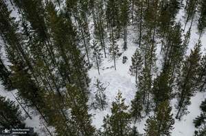 منتخب تصاویر امروز جهان- 30 اردیبهشت 1400