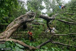 منتخب تصاویر امروز جهان- 9 خرداد