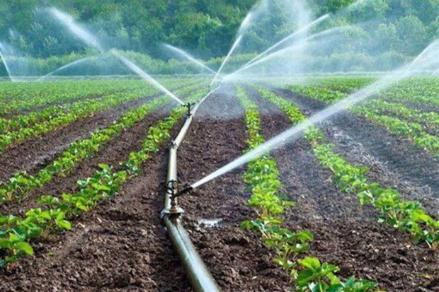 استاندار تهران بر صرفه جویی آب در بخش کشاورزی تاکید کرد