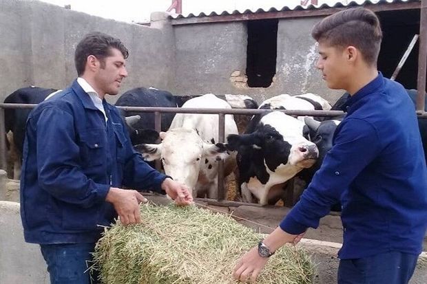 ۲۶ طرح اشتغال روستایی استان مرکزی به بانک معرفی شد