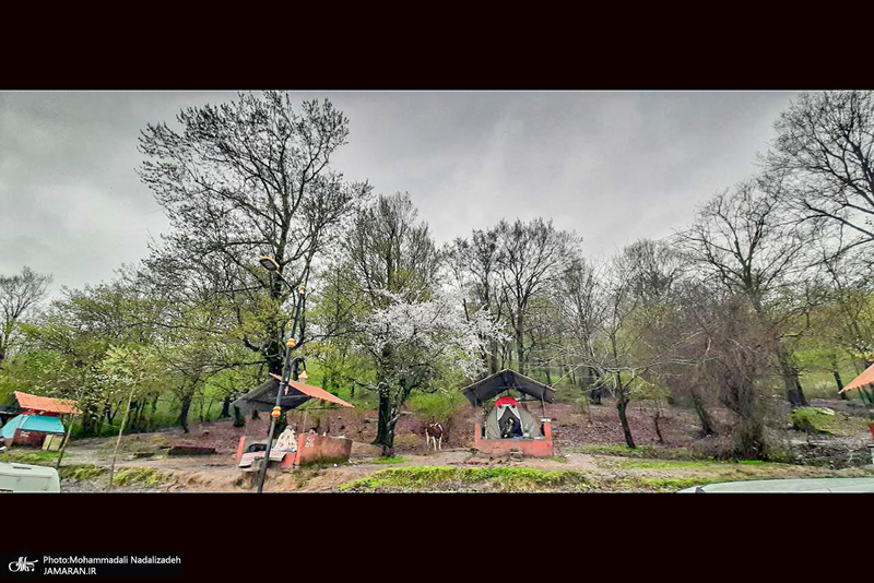 دریاچه آویدر نوشهر