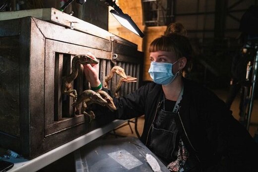 پایان فیلمبرداری «دنیای ژوراسیک» پس از ۱۸ ماه 