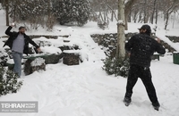 بهترین عکس ها از روز برفی تهران (20)