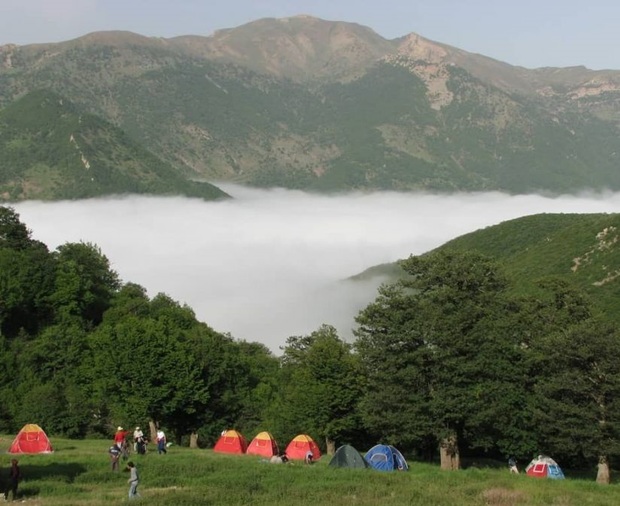 جنگل ابر تاجی از درختان هیرکانی بر فراز ابرها