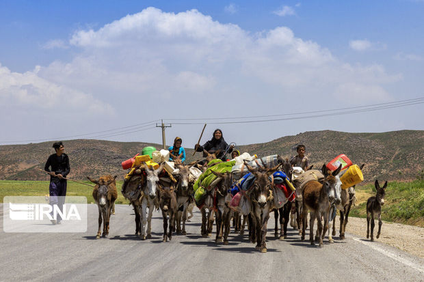 کرونا کوچ عشایر خوزستان را به تعویق انداخت