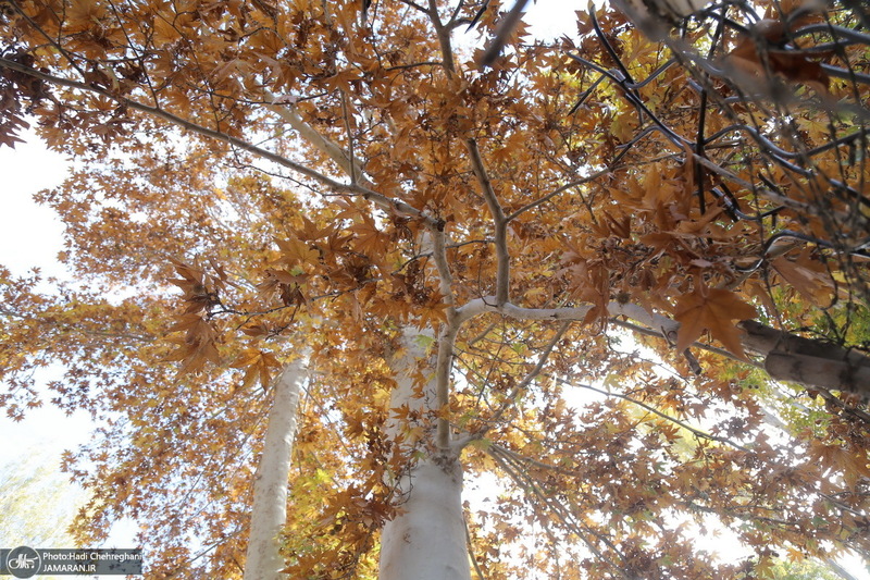 طبیعت پاییزی روستای اَوِل قم