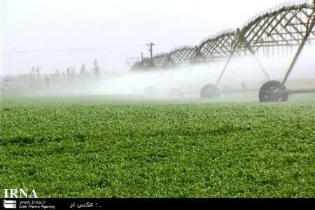45 درصد زمین های کشاورزی خراسان شمالی زیرپوشش سامانه های نوین آبیاری است