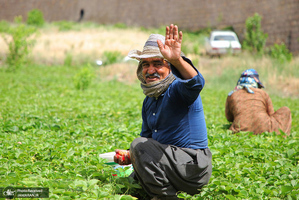 منتخب تصاویر امروز جهان- 2 خرداد 1400