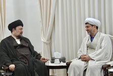 رئیس اتحادیه علمای جعفری ترکیه با آیت‌الله سید حسن خمینی دیدار کرد