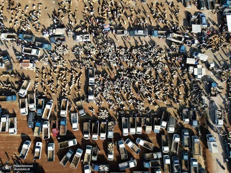 منتخب تصاویر امروز جهان- 26 تیر 1400