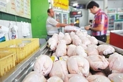 قیمت گوشت مرغ در بازار قزوین افزایش یافت